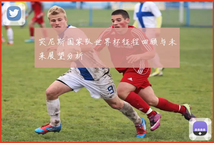突尼斯国家队世界杯征程回顾与未来展望分析