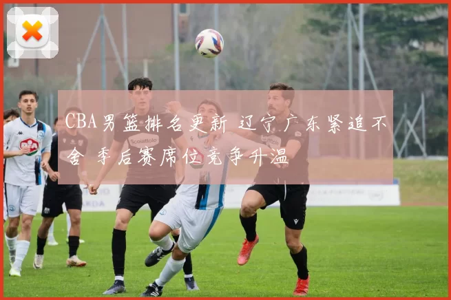 CBA男篮排名更新 辽宁广东紧追不舍 季后赛席位竞争升温