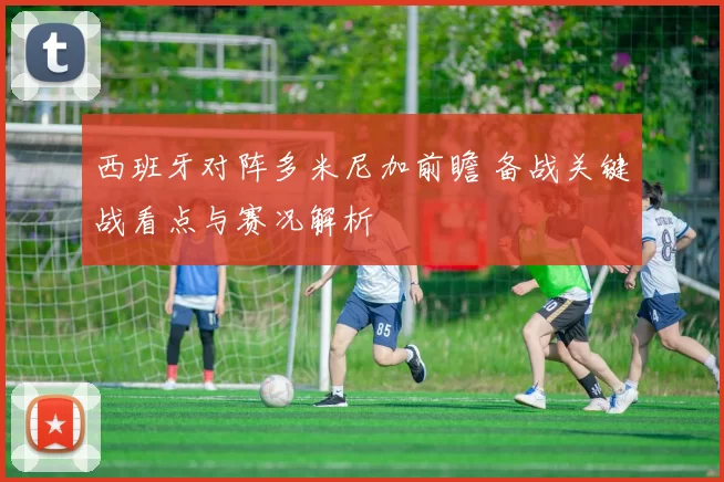 西班牙对阵多米尼加前瞻 备战关键战看点与赛况解析